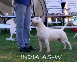 CH India AS-W