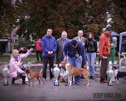 Derby Indjija.jpg