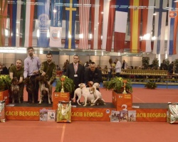beograd 03.jpg