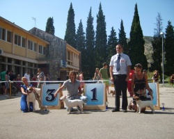 crna gora 01.jpg