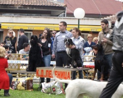 Kragujevac.jpg