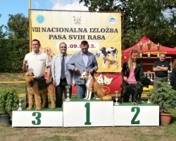 Lazarevac 552.JPG