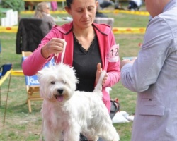 Lazarevac 00.jpg