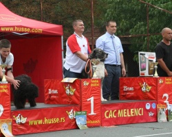 Melenci 455.jpg