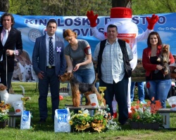 Novi Sad 78585.jpg