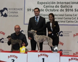 Santiago De Campostela 45.jpg