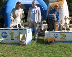 Sremski Karlovci 01.jpg
