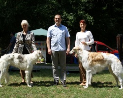 Sremski Karlovci 411.jpg
