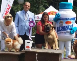 Sremski Karlovci 566.jpg