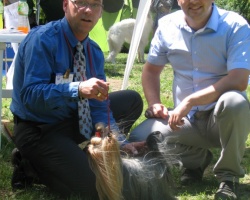 Sremski Karlovci.jpg