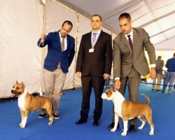 Talavera De La Reina Spain 89.jpg