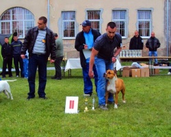 3. fci Paracin.jpg