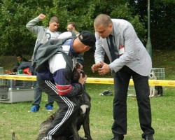 lazarevac .02.jpg