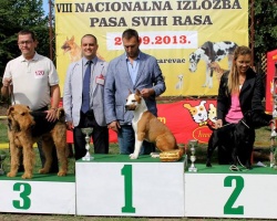 lazarevac 3.jpg