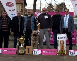 mladenovac 2016..jpg