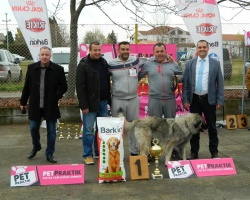 mladenovac 2016.jpg