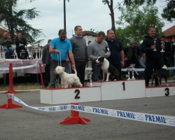 mladenovac.JPG