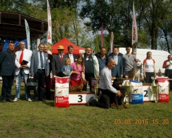 pazova01.jpg