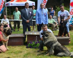 s karlovci 1.jpg