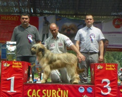 surcin 02.jpg