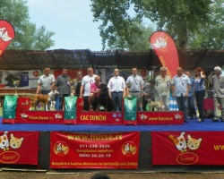surcin5.jpg