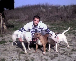 Prolece 2007.