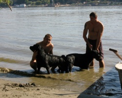 IMG_000601.jpg