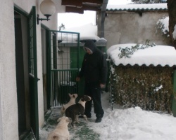 AS-W kennel
