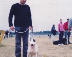 Smederevo 2003.
