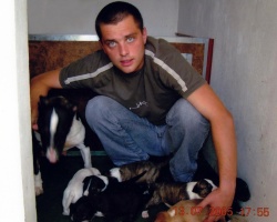AS-W kennel