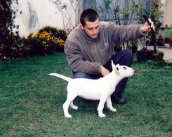 Zodiak Magnum Lisa 2002.