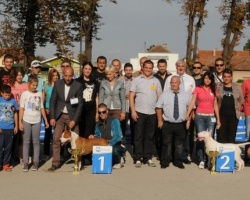 Derby Indjija 2013.