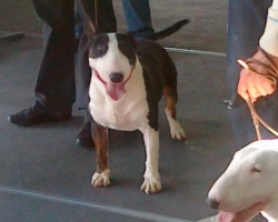 d_20120416_1863703965.jpg